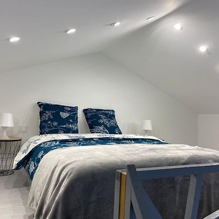 Logement Avec Mezzanine Tremblay-en-France エクステリア 写真