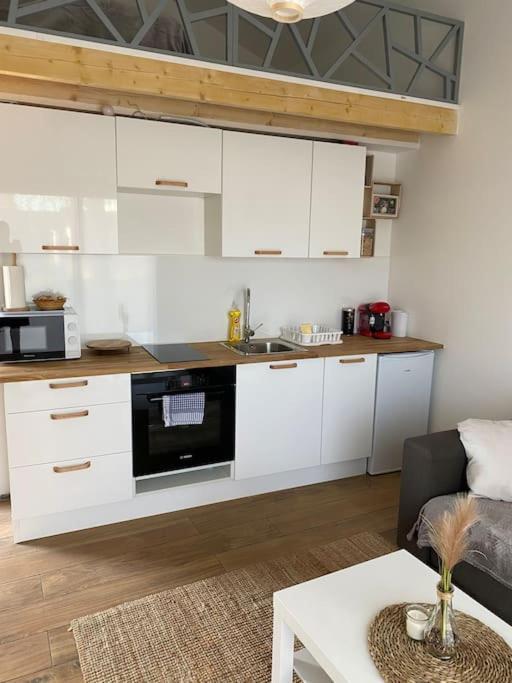 Logement Avec Mezzanine Tremblay-en-France エクステリア 写真